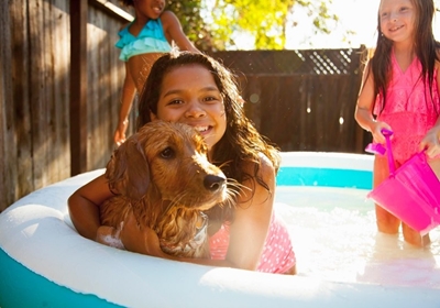 Kids and dog in kiddie pool 
